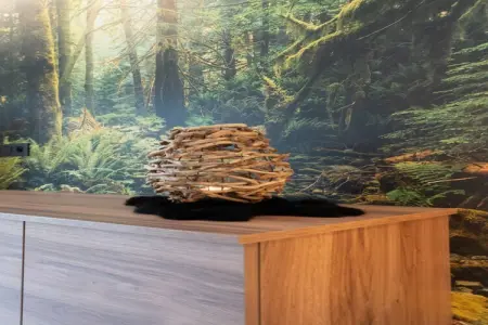 La Fraise des Bois, maison 9 pers. avec piscine et sauna : photo 31