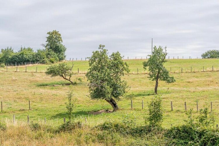 La Ferme Tirou : maison 6 chambres aux Ardennes - Photo 31