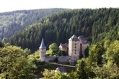 Maison 30 personnes avec piscine intérieure aux Ardennes : photo 37