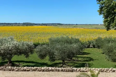 Le Ry de Chavan – Maison 14 pers. à Manhay : photo 38