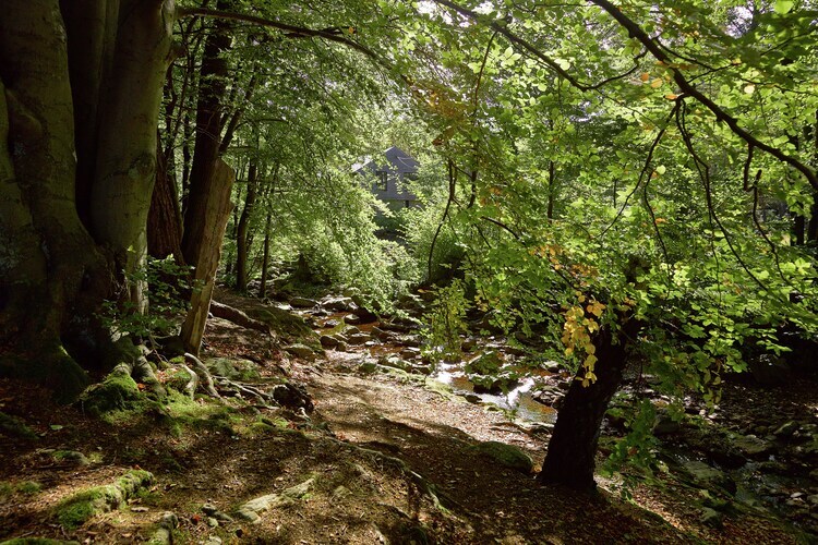 La Statte : maison 9 pers. à l'orée de la forêt - Photo 35
