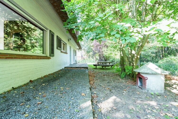 Villa Bos en Zee : 10 pers., 3 ch., 1 km plage - Photo 23