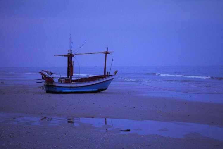 Villa Bos en Zee : 10 pers., 3 ch., 1 km plage - Photo 30