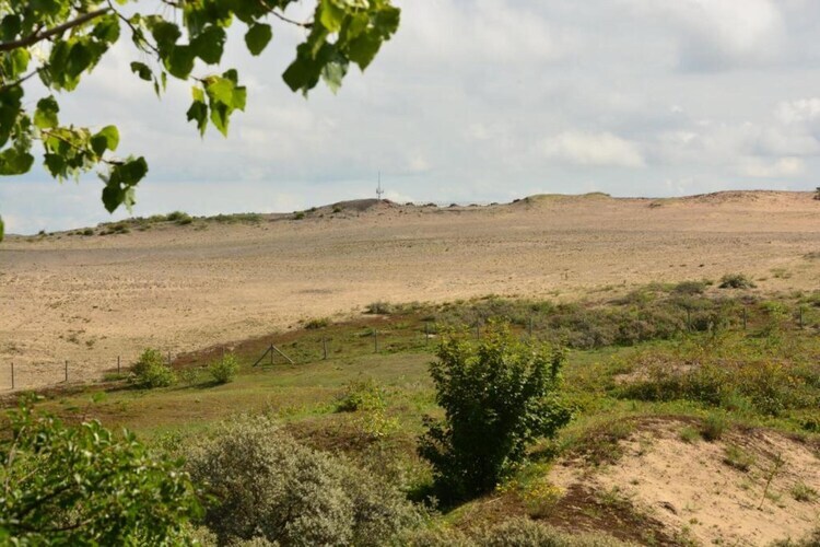 Villa Bos en Zee : 10 pers., 3 ch., 1 km plage - Photo 31