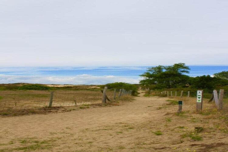 Villa Bos en Zee : 10 pers., 3 ch., 1 km plage - Photo 32