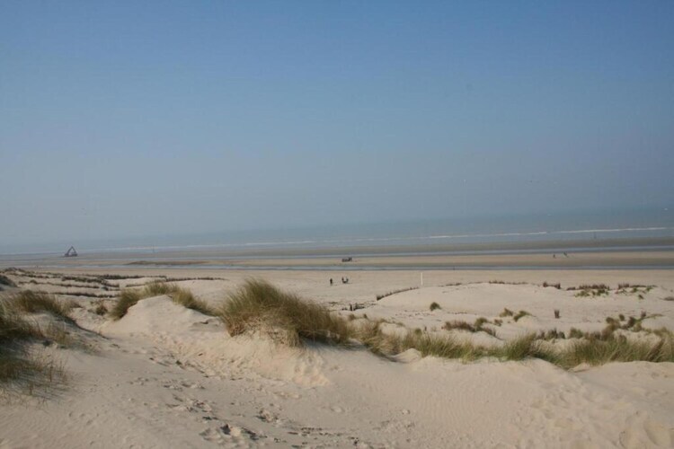 Villa Bos en Zee : 10 pers., 3 ch., 1 km plage - Photo 35