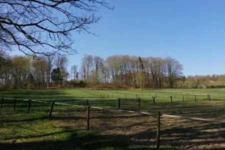 Lodge des Fagnes – Chalet 5 pers. à Stavelot : photo 32