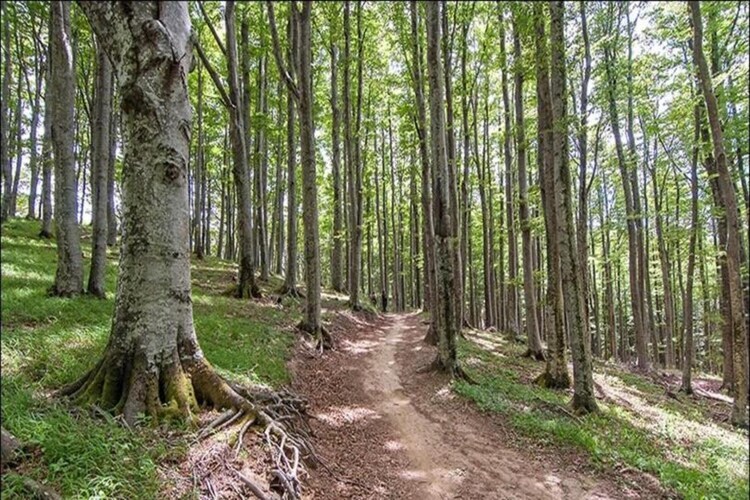 Villa Swing, 4 chambres à 100 m du golf de Durbuy - Photo 34