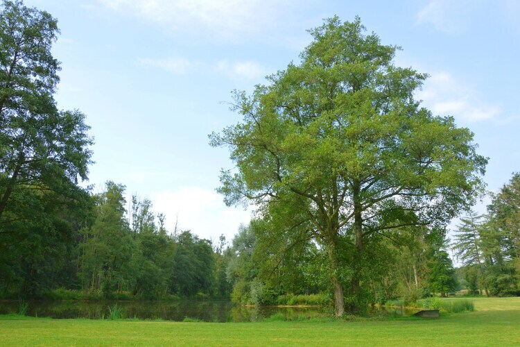 Château des Deux Étangs, 24 pers, Ardennes - Photo 34