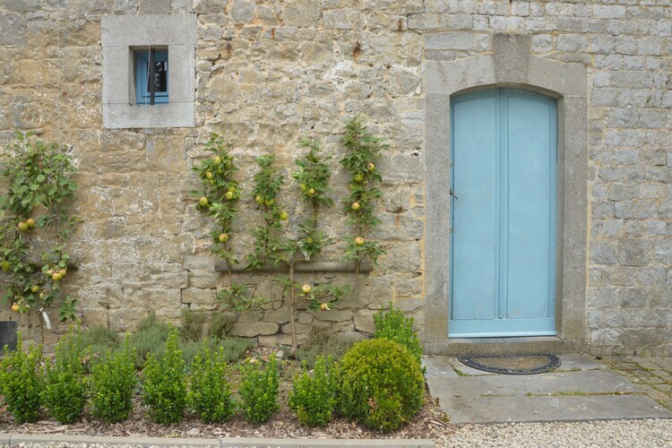 Château des Deux Étangs, 24 pers, Ardennes - Photo 39