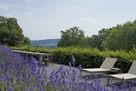 Château Renardmont, 26 personnes à Stavelot : photo 42