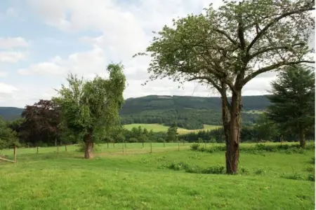 Gite de Froidcour, maison 22 pers. avec spa à Stoumont : photo 19