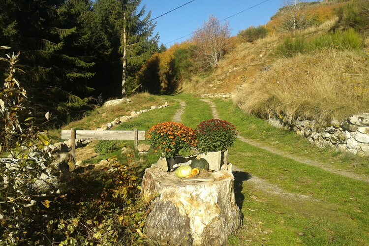 Gîte fermette rénovée 12 pers. piscine privée Ardèche - Photo 38