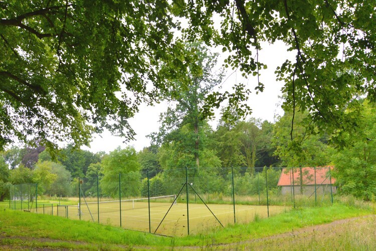 Le Vieux Tilleul du Château, maison 9 pers. à Gesves - Photo 25