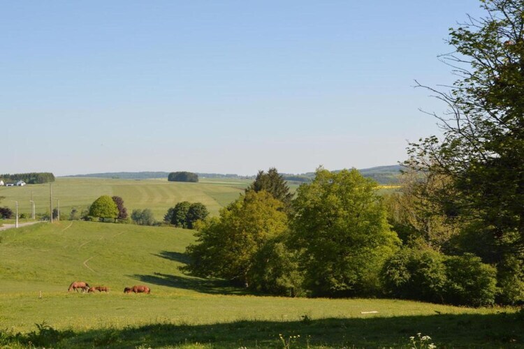 Le Vieux Tilleul du Château, maison 9 pers. à Gesves - Photo 39
