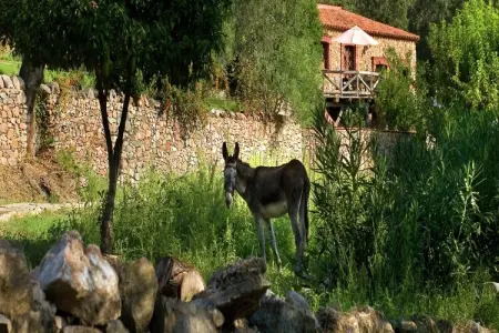 Zoya, gîte rural avec piscine et terrasse sur rivière : photo 11