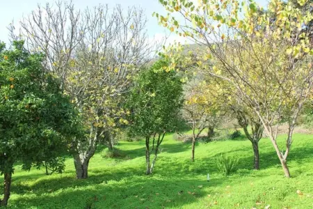 Zoya, gîte rural avec piscine et terrasse sur rivière : photo 25