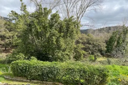 Zoya, gîte rural avec piscine et terrasse sur rivière : photo 34