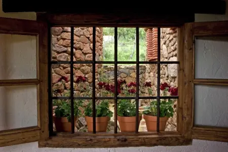 The Turtle - Gîte rural à Alájar pour 5 personnes : photo 17