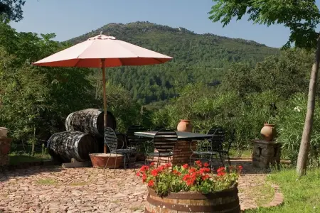 The Turtle - Gîte rural à Alájar pour 5 personnes : photo 23