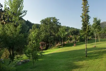 The Turtle - Gîte rural à Alájar pour 5 personnes : photo 25