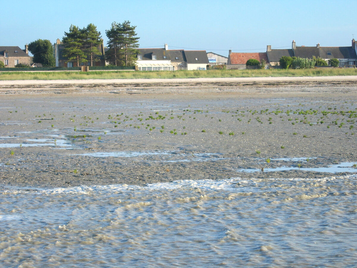 Au Cœur de la Baie – Appartement face à la mer - Photo 17