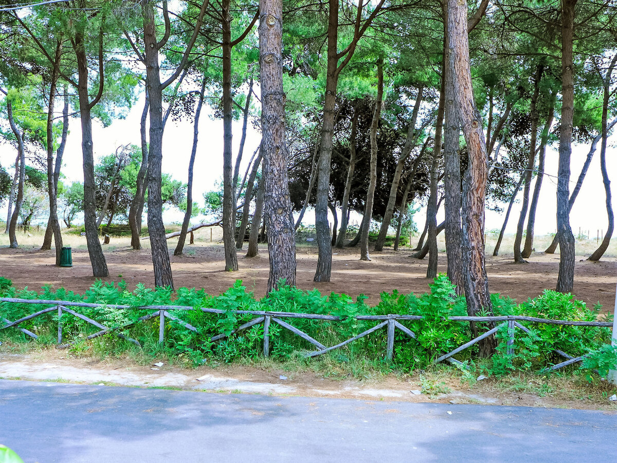 Appartement Cerrano à 50 m de la plage, Silvi Marina - Photo 21