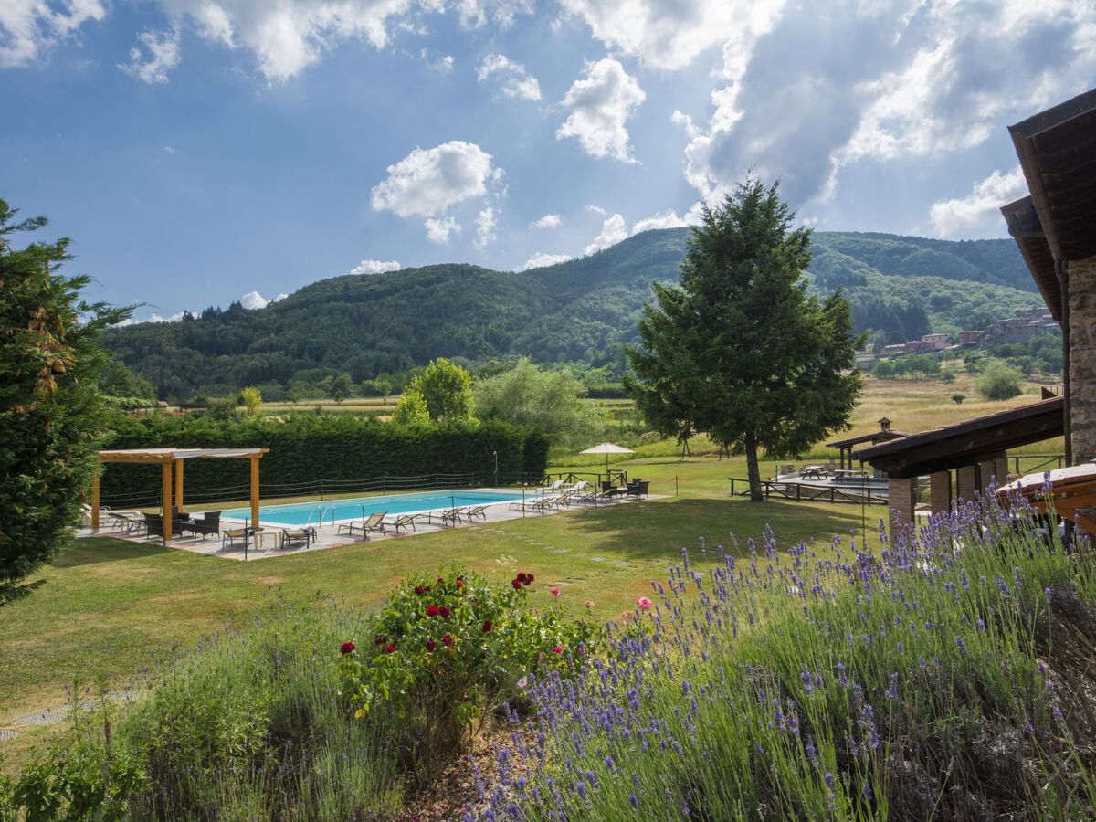 La Fenice – Gîte 16 pers. avec piscine à Castelnuovo - Photo 2