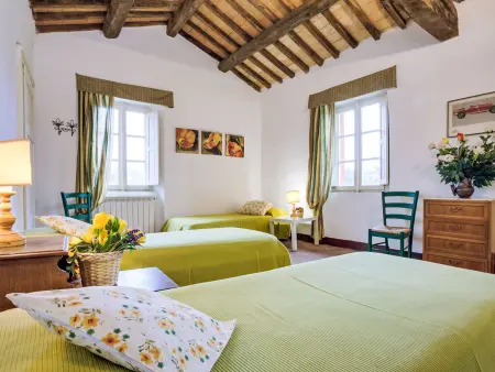 Ferme historique à Barga avec piscine privée et parc : photo 13