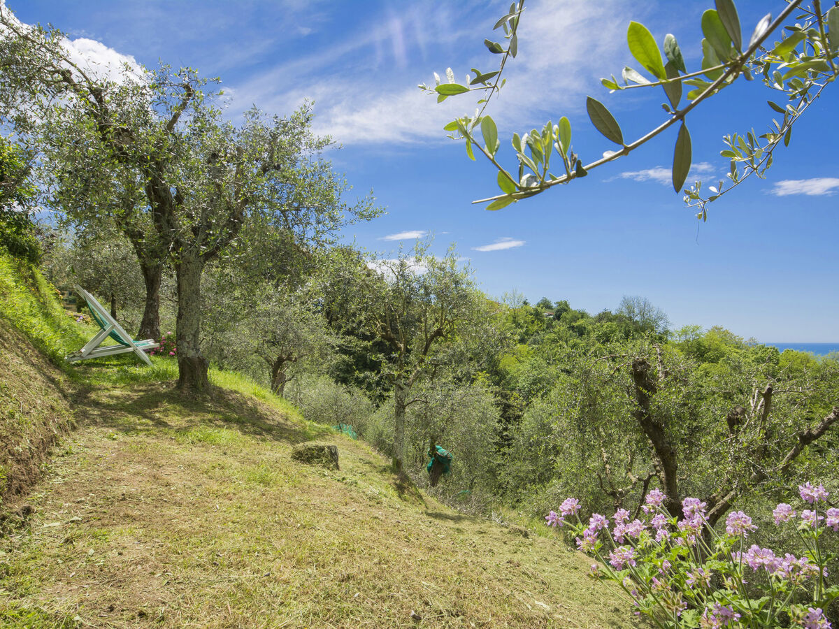 Casaccia, ferme rustique 1700 à Camaiore - Photo 25