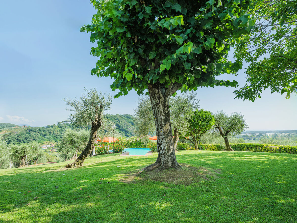 Villa le Casette, 11 pers. avec piscine à Massarosa - Photo 50