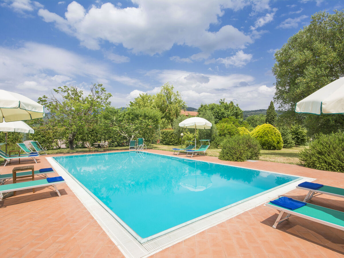 Il Leccio - Gîte 14 pers. avec piscine à Vinci - Photo 4