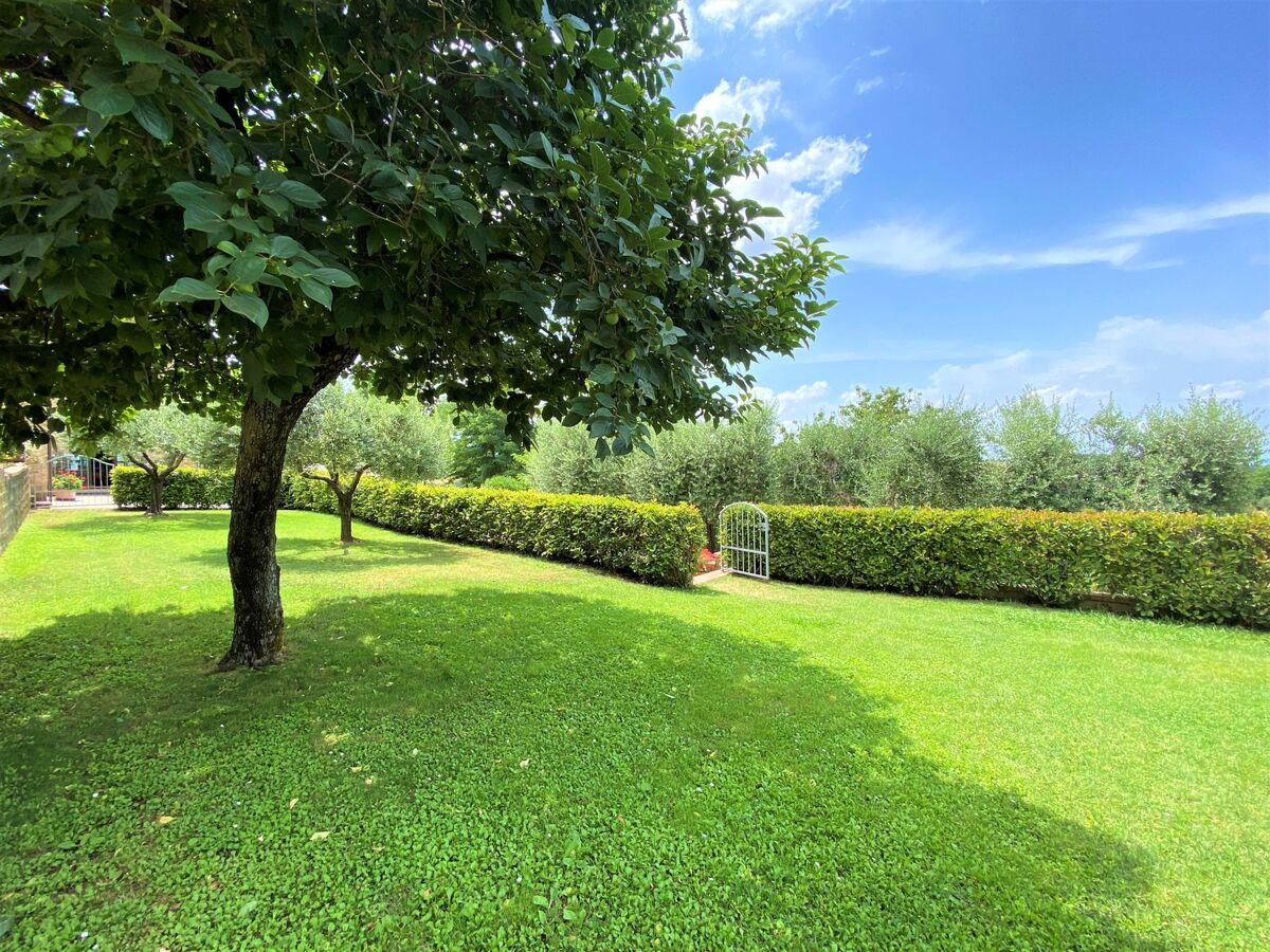 Stregaia, gîte rustique 5 pers. à Volterra - Photo 25