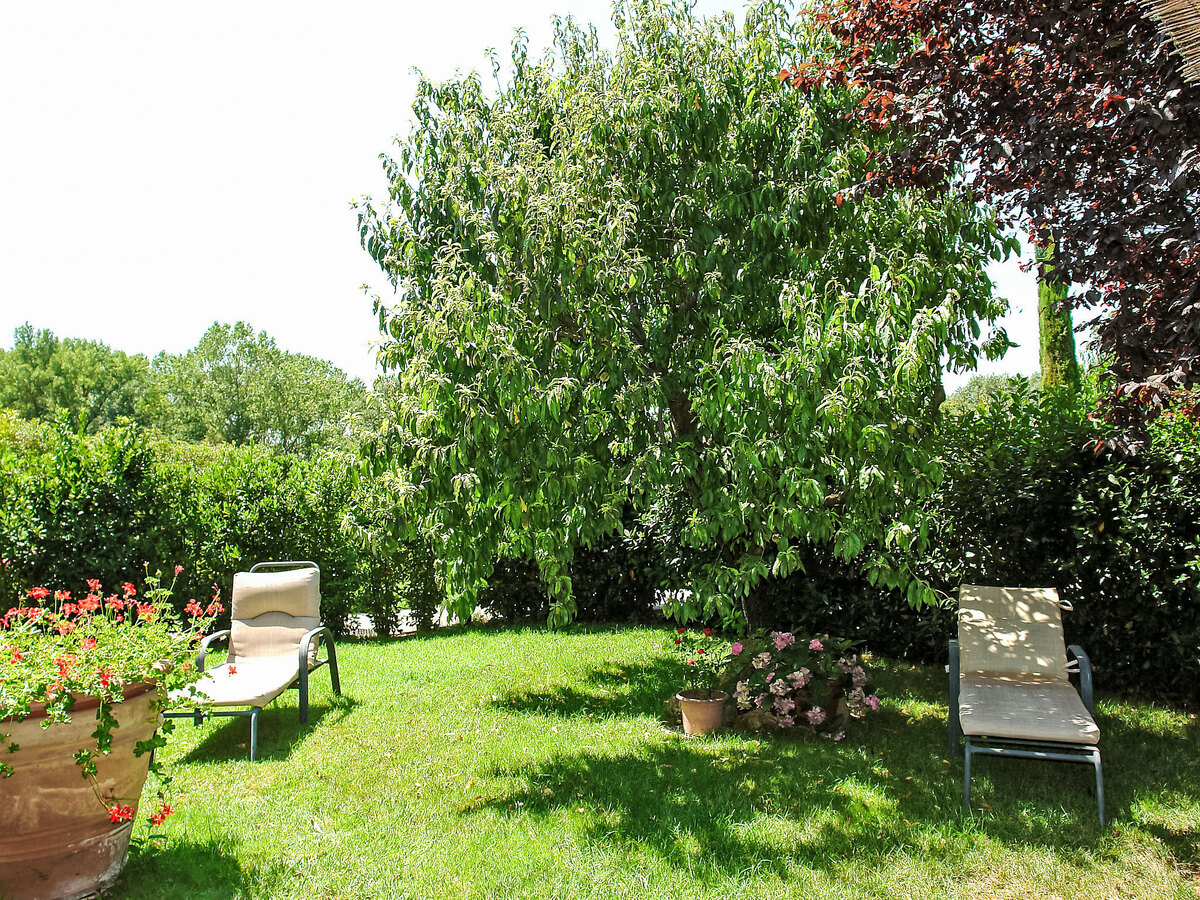 La Tinaia, gîte toscan 4 pers. au cœur du Chianti - Photo 22
