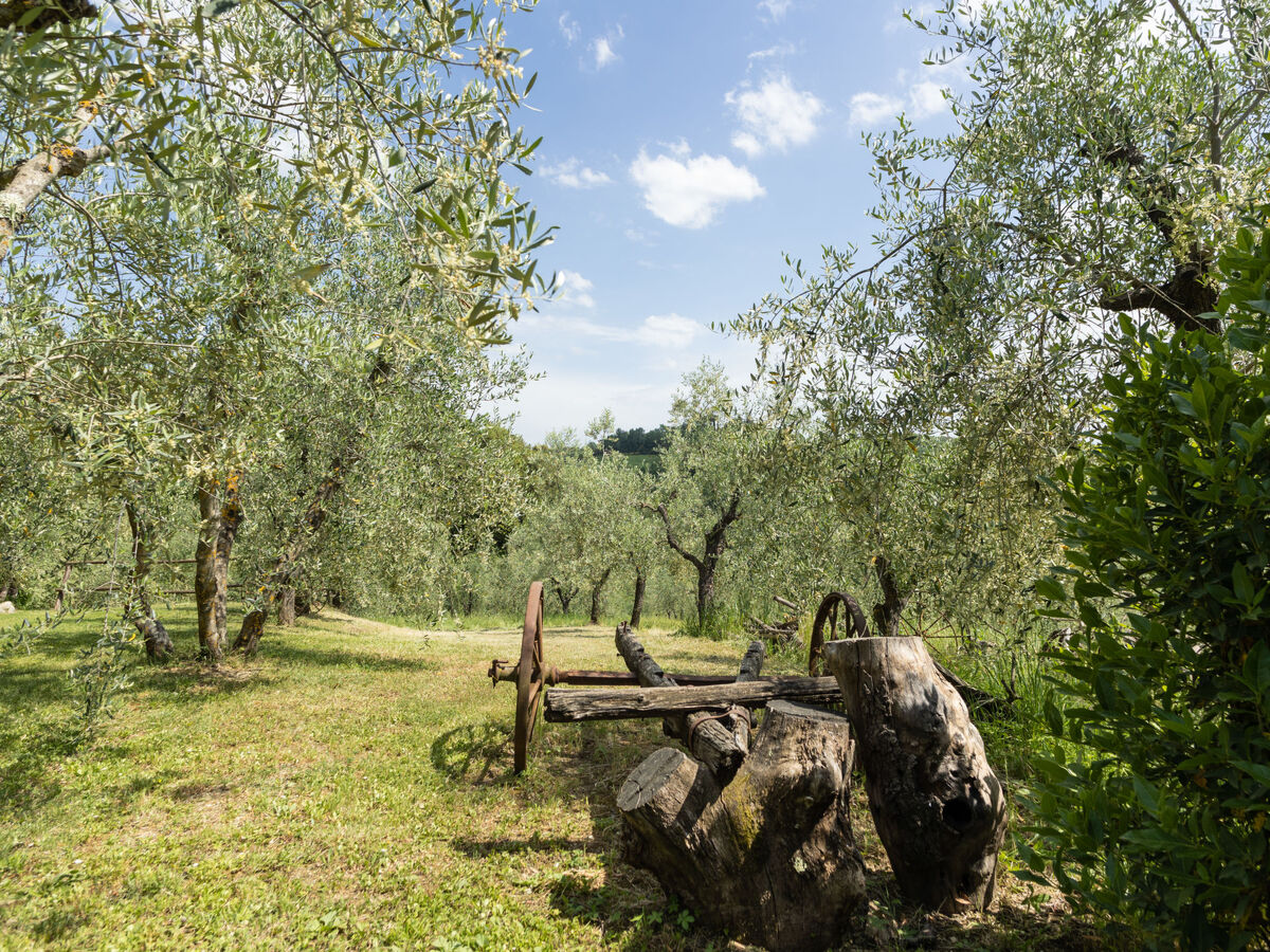 Gîte Le Buche, 8 pers. entre vignes et oliveraies - Photo 47