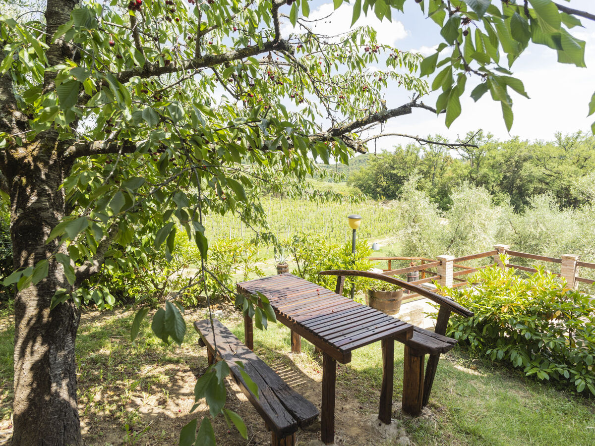 Ciliegio, gîte rustique 5 pers. au cœur du Chianti - Photo 23