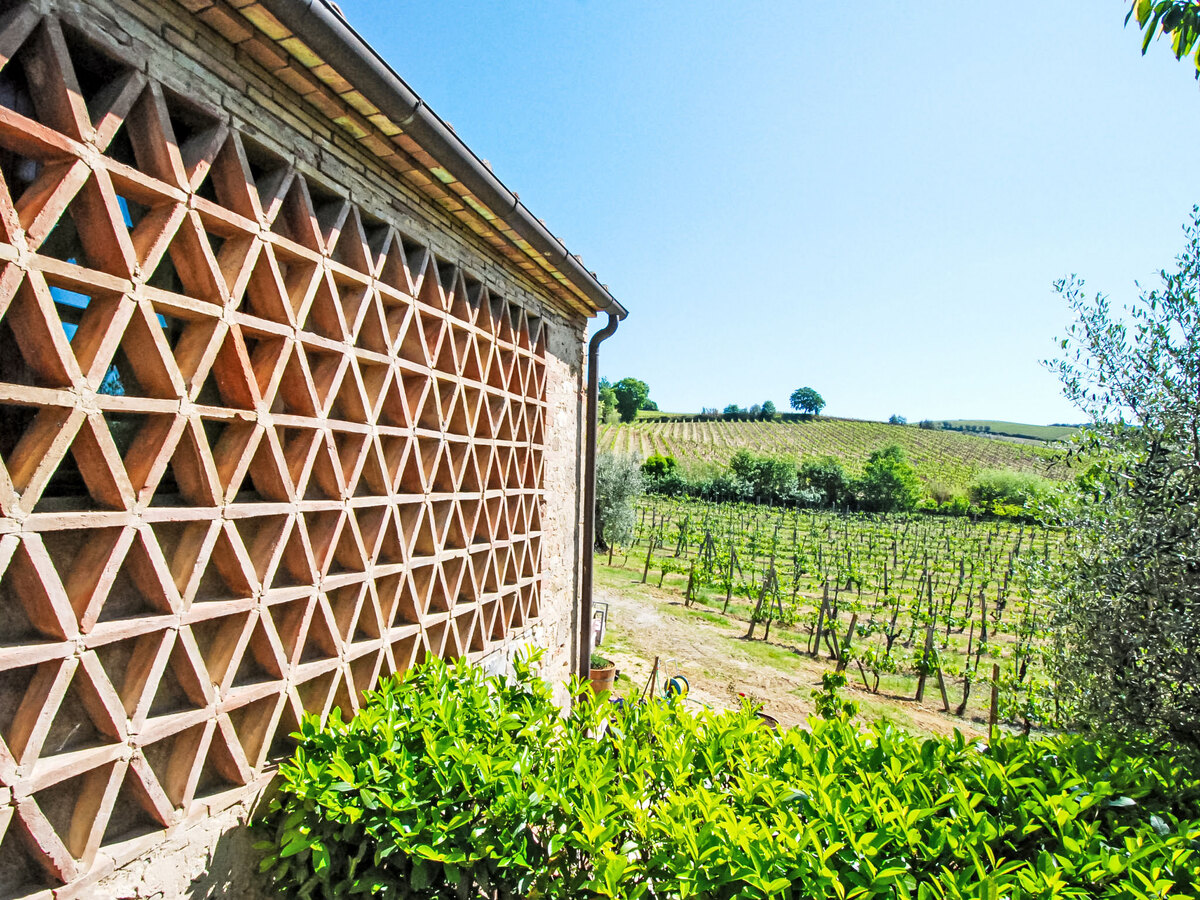 Le Buche, gîte 40 m² en plein Chianti avec piscine - Photo 3