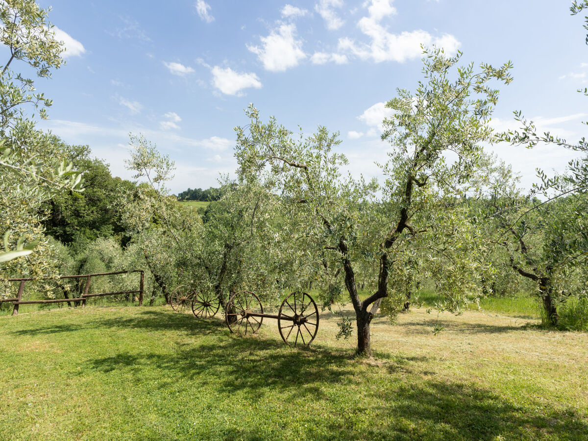 Le Buche, gîte 40 m² en plein Chianti avec piscine - Photo 25