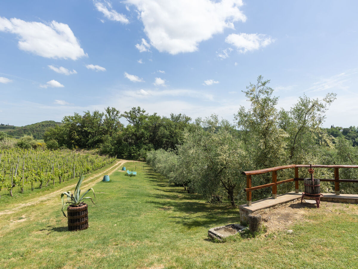 Le Buche, gîte 40 m² en plein Chianti avec piscine - Photo 35