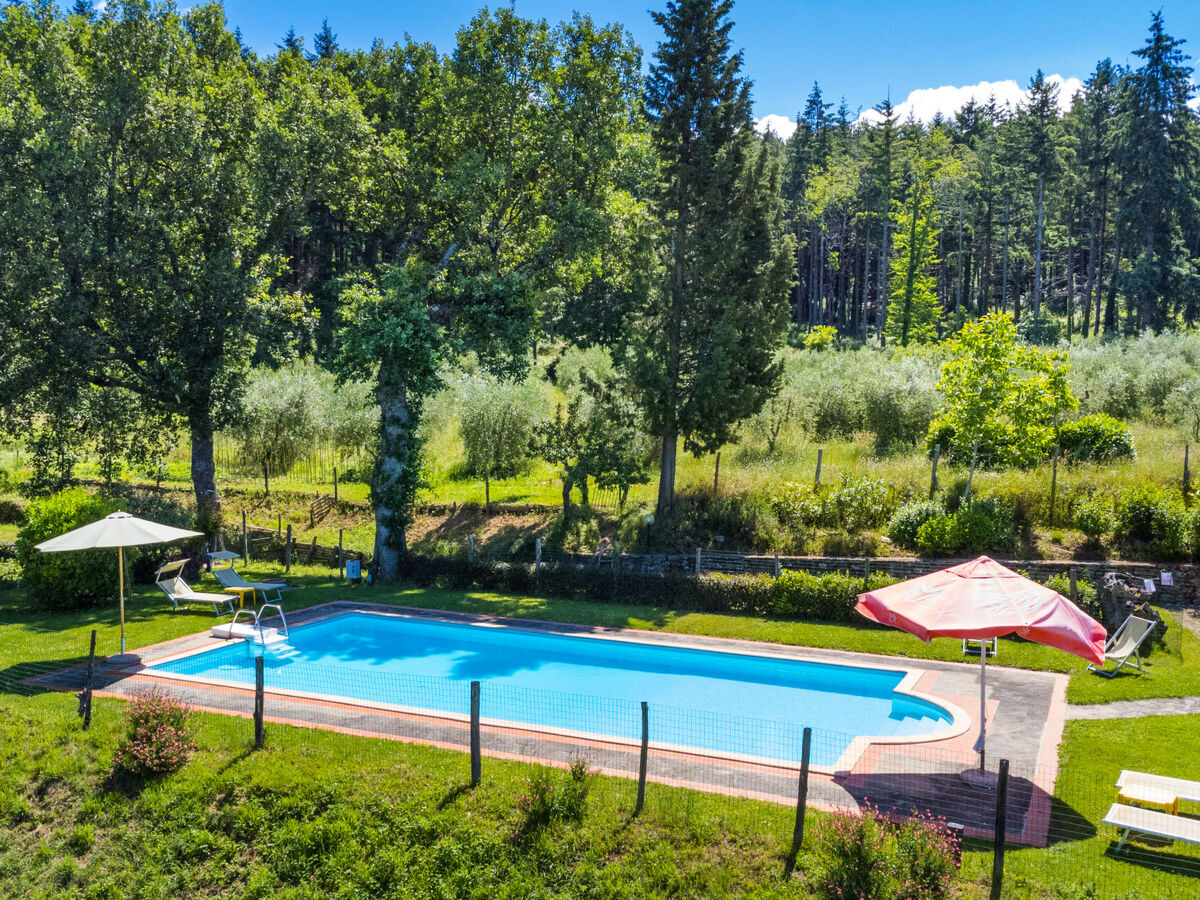 Gîte Certina 3 - Vue panoramique vallée Toscane - Photo 5