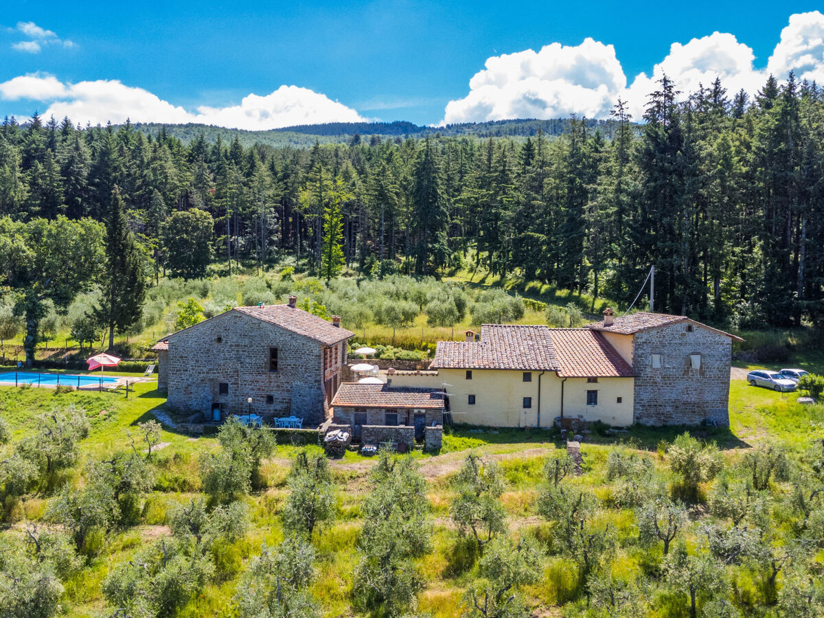 Gîte Certina 3 - Vue panoramique vallée Toscane - Photo 7
