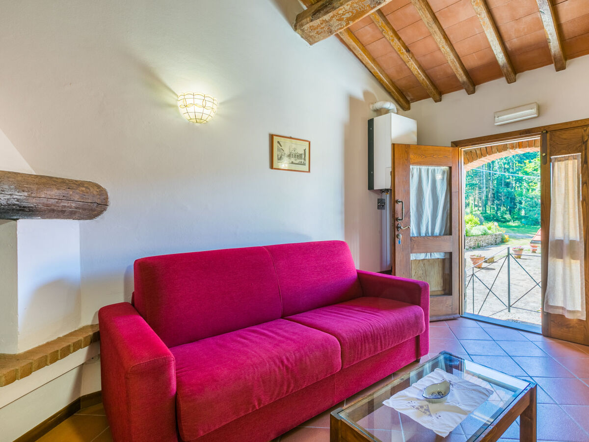 Gîte Certina 3 - Vue panoramique vallée Toscane - Photo 11