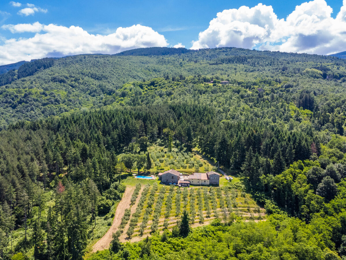 Gîte Certina 3 - Vue panoramique vallée Toscane - Photo 27