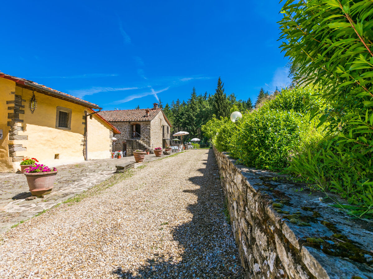 Gîte Certina 3 - Vue panoramique vallée Toscane - Photo 36