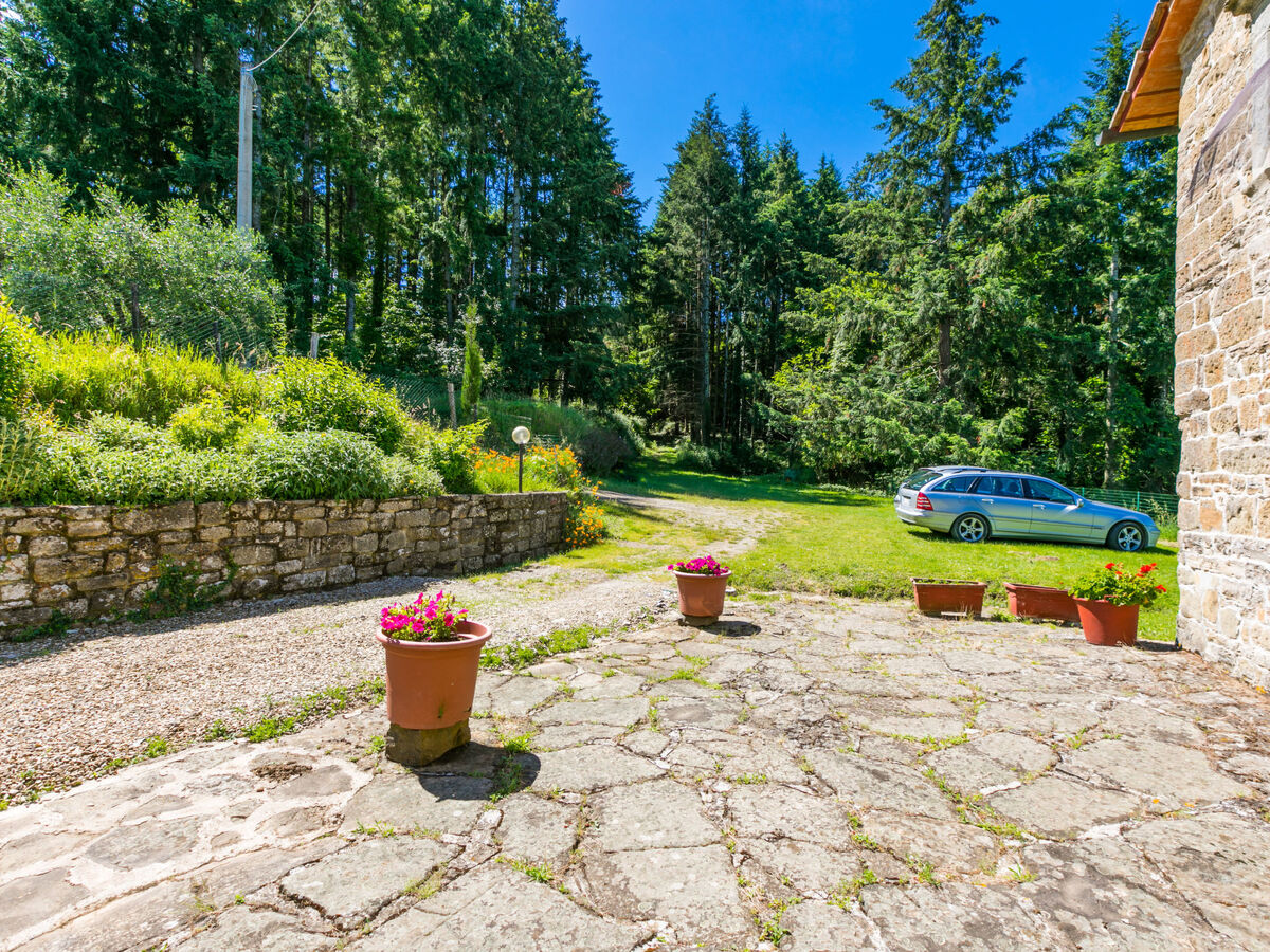 Gîte Certina 3 - Vue panoramique vallée Toscane - Photo 37