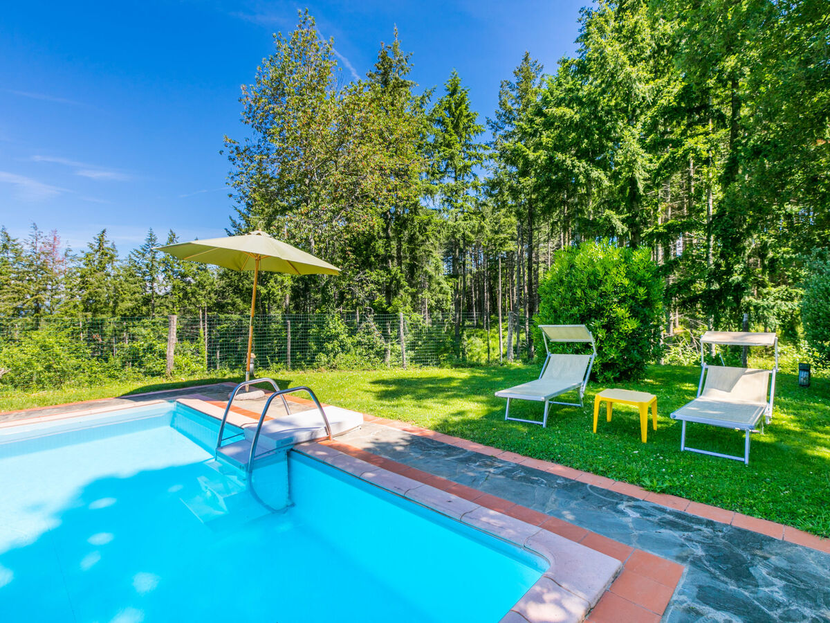 Gîte Certina 3 - Vue panoramique vallée Toscane - Photo 40