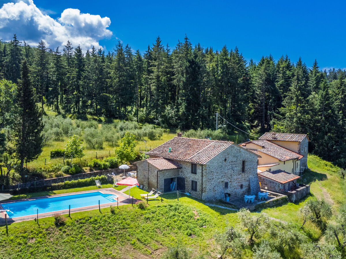 Gîte Certina 3 - Vue panoramique vallée Toscane - Photo 42