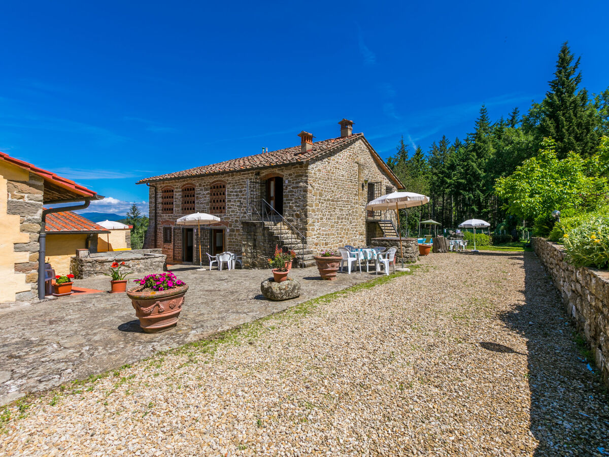 Gite Certina 4 - Vallée de Pontassieve, piscine - Photo 3