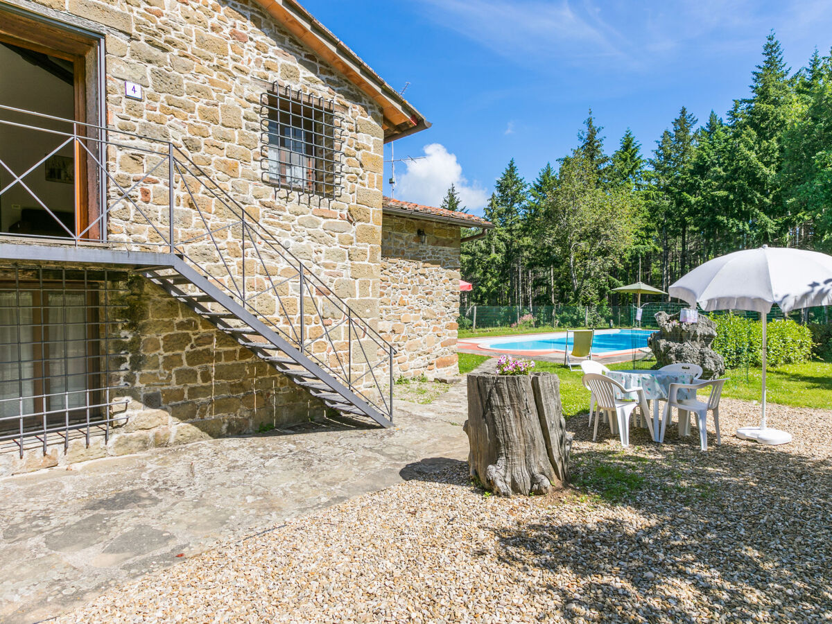 Gite Certina 4 - Vallée de Pontassieve, piscine - Photo 9