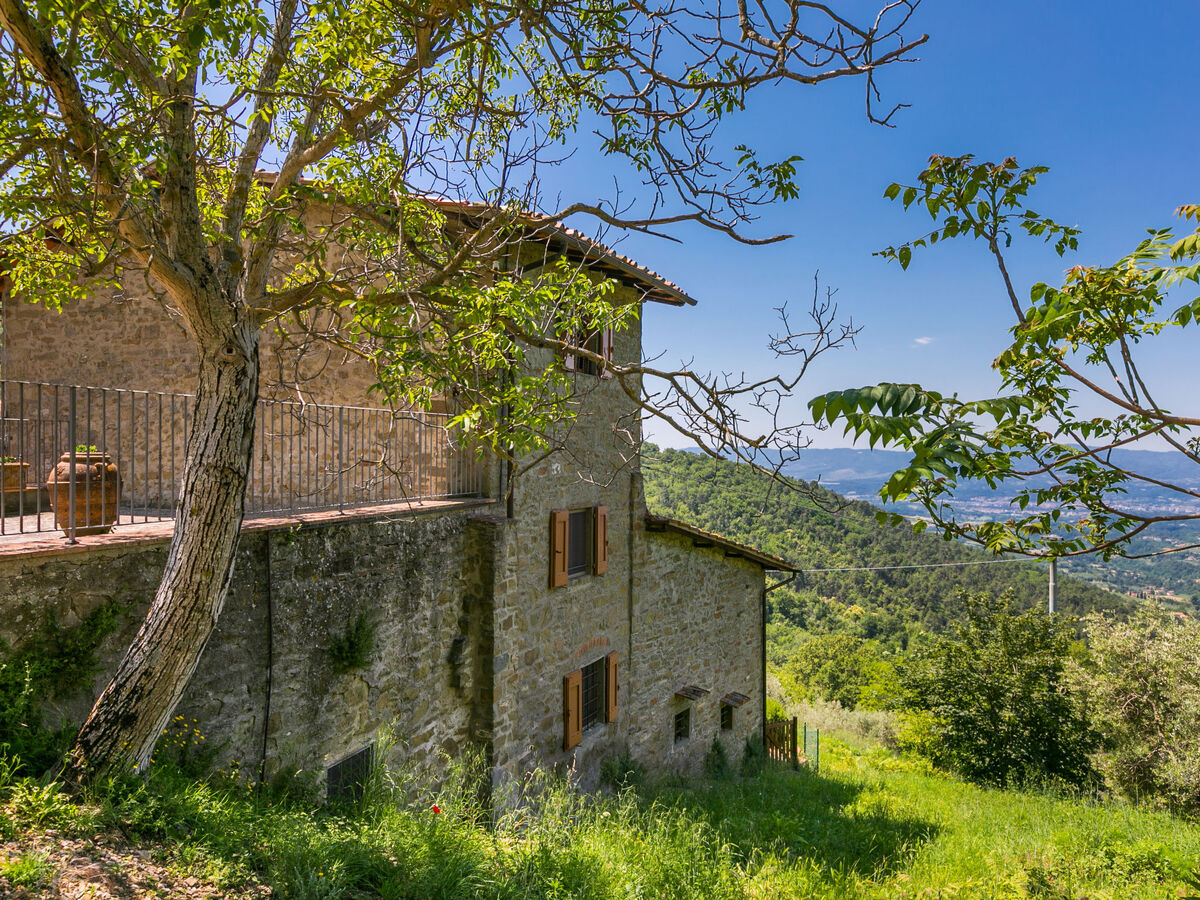 Madonna – Appartement rustique à Reggello, 3 chambres - Photo 51